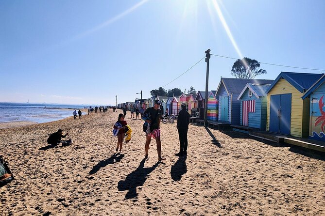 Moonlit Sanctuary and Brighton Beach Boxes Half Day Tour - Meeting point, pickup, and timing tips