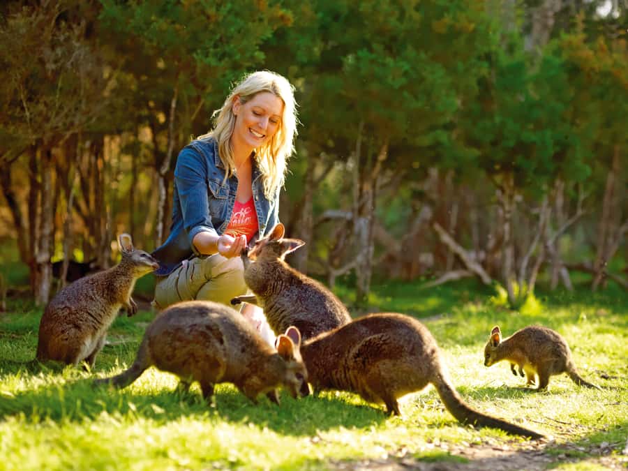Moonlit Sanctuary Conservation Park Entry Ticket - Key points to know before you go