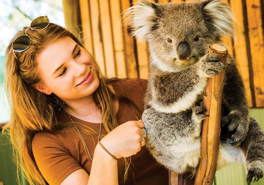 Moonlit Sanctuary Conservation Park Entry Ticket - Keeper talks add meaning to the visit