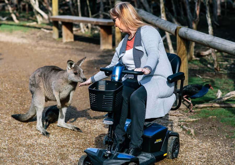 Moonlit Sanctuary Conservation Park Entry Ticket - Food, shade and practical comfort