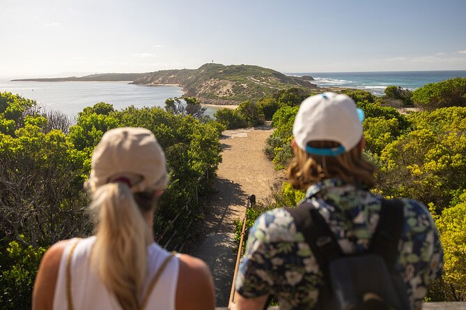 Mornington Peninsula Boutique Wine and Lunch Small Group Tour - What the $138.79 price includes in practical terms