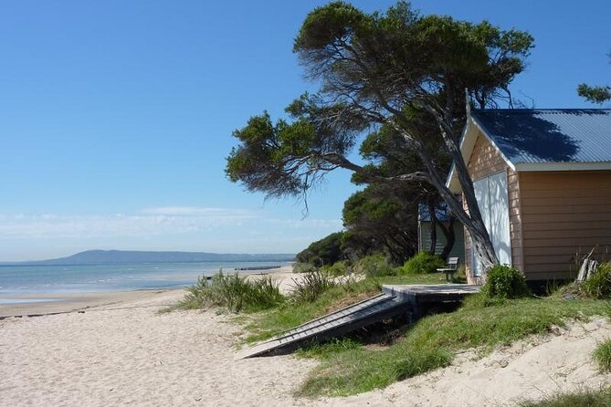Mornington Peninsula Coastal Discovery Tour from Melbourne - Key points to know before booking