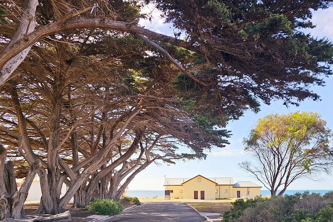 Mornington Peninsula Coastal Discovery Tour from Melbourne - Who will enjoy this coastal outing most