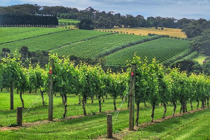 Mornington Peninsula Day Tour. Your Day Your Way. Your group only - Why this private peninsula day works