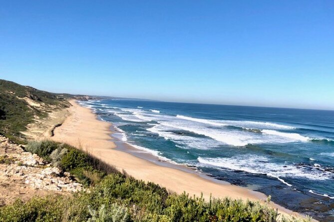 Mornington Peninsula Day Tour. Your Day Your Way. Your group only - Portsea Back Beach shows the wild side