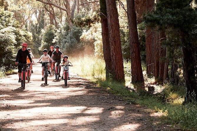 Mornington Peninsula guided e-bike tour - Key points at a glance