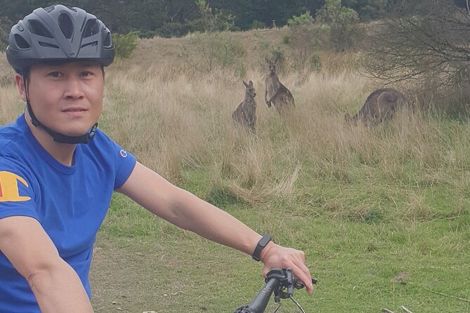 Mornington Peninsula guided e-bike tour - What the e-bike changes for you