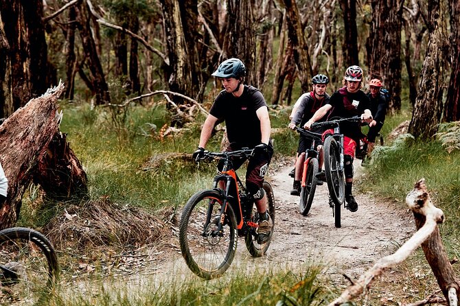 Mornington Peninsula guided e-bike tour - Practical details before you book