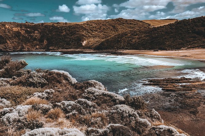 Mornington Peninsula Hike and Hot Springs Day Tour - 8 people max - Why this Mornington Peninsula day works so well