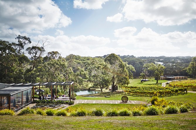 Mornington Peninsula Luxury Lunch, Wine Tasting & Pt Leo Art Walk - Quealy Winemakers offers a different tasting setting