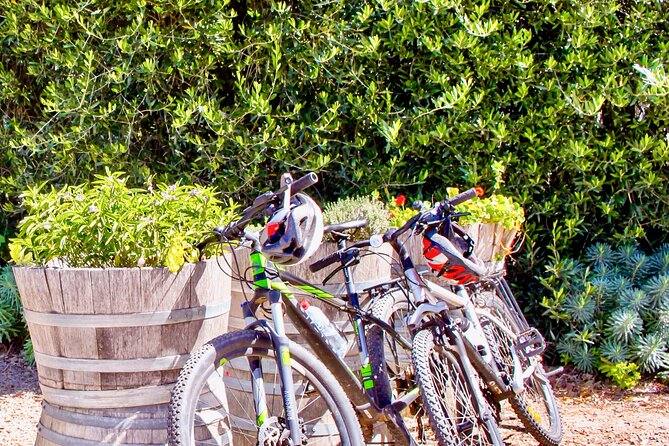 Mornington Peninsula Self-Guided Bike Tour | Food & Wine Region - Starting at Seawinds Gardens and Arthurs Seat
