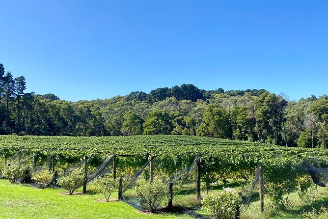 Mornington Peninsula Self-Guided Bike Tour | Food & Wine Region - Stonier Wines finishes the tasting route