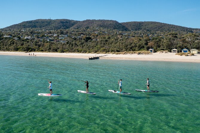 Mornington Peninsula Sightseeing and Bay Cruise - Seasonal strawberry picking from November through April