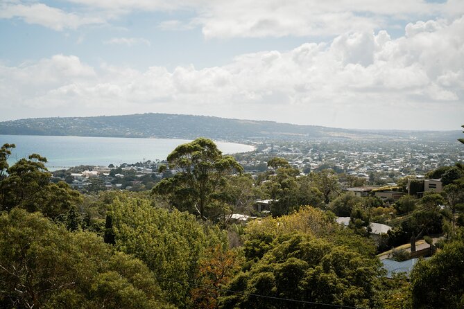 Mornington Peninsula Small Group Thermal Springs w/ Lunch & Wine - Green Olive Estate for lunch and wine
