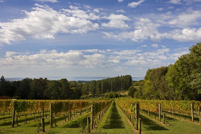 Mornington Peninsula Wine Day Tour - Why Mornington Peninsula suits a wine day from Melbourne