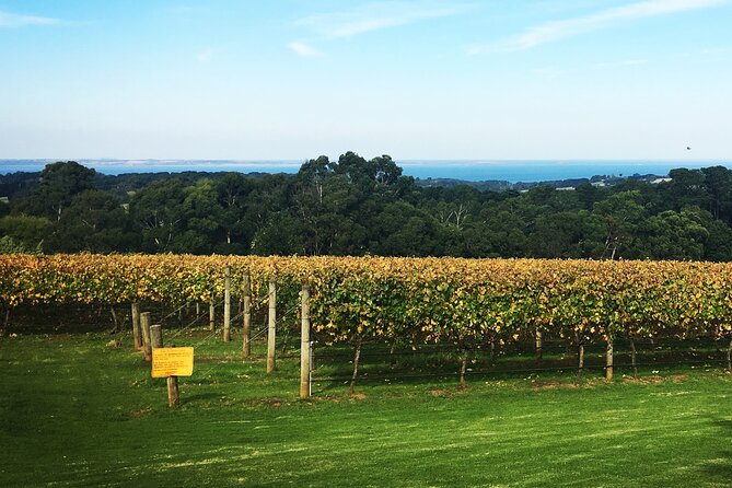 Mornington Peninsula Winery Bus Tour including lunch with a glass of wine - Pier 10 turns lunch into the center of the day