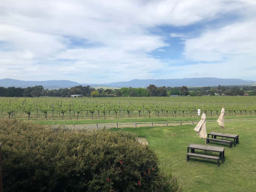 Mornington Peninsula Winery Bus Tour with Lunch & Wine - Leaving Melbourne for the Mornington Peninsula