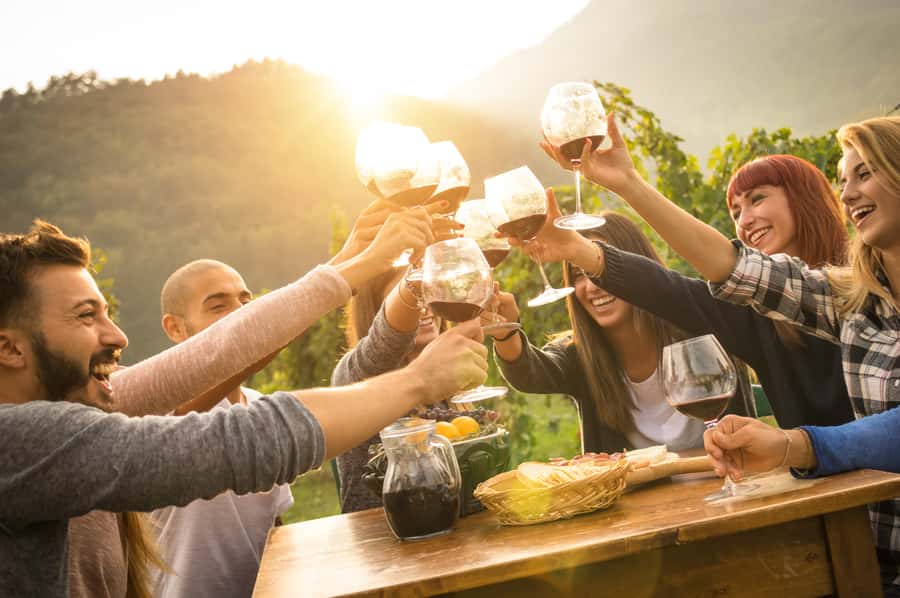 Mornington Peninsula Winery Bus Tour with Lunch & Wine - Is $138 good value for seven hours?