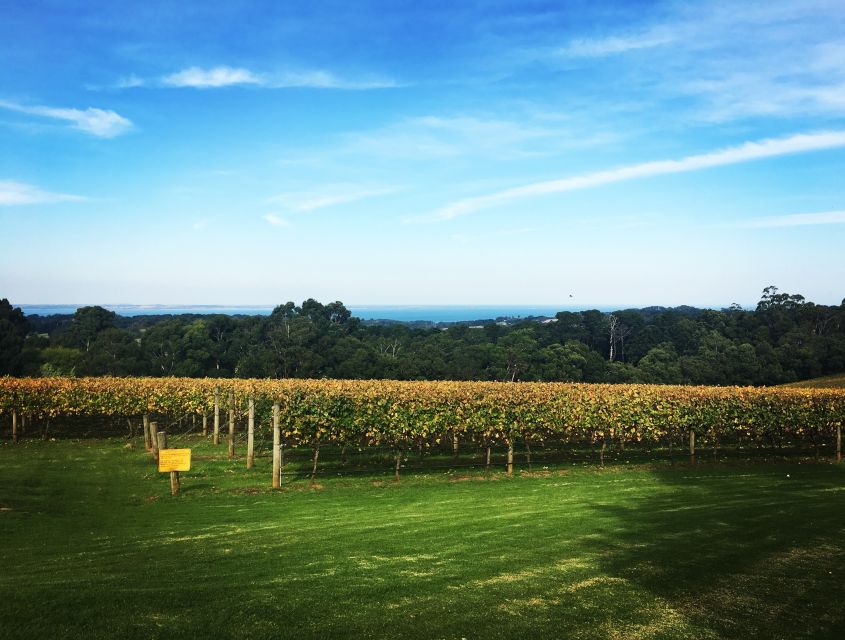 Mornington Peninsula Winery Bus Tour with Lunch & Wine - Who should book this winery day?
