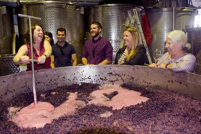 Mornington Peninsula Winery Tour - Lunch Included - Key points at a glance