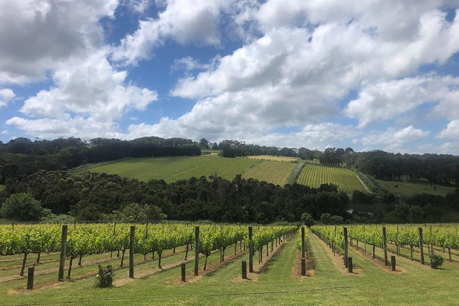 Mornington Peninsula Winery Tour - Lunch Included - Pier 10: another 45-minute tasting
