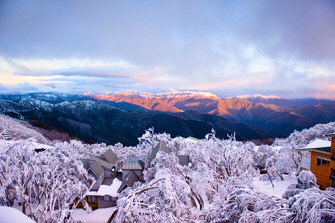 Mount Buller Sightseeing Tour - Merrijig and the road up to Mount Buller