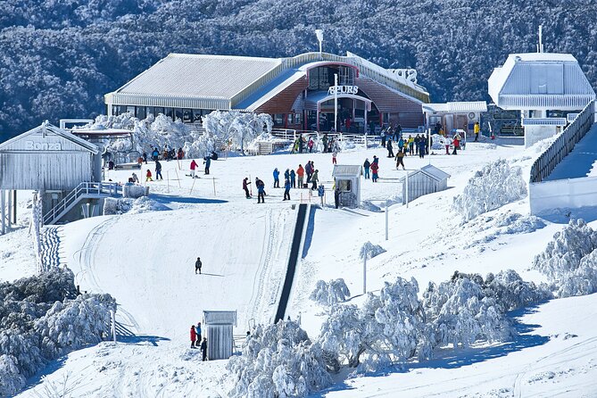 Mount Buller Sightseeing Tour - Tobogganing and sightseeing for non-skiers