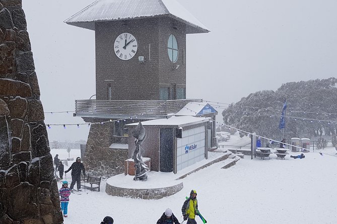 Mt Buller Day Trip from Melbourne - Mt Buller Without Hiring a Car