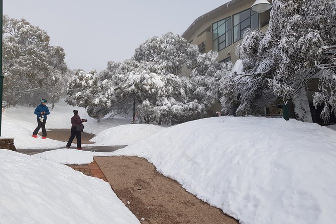 Mt Buller Day Trip from Melbourne - Skiing, Snowboarding, or a Simple Snow Walk