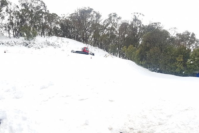 Mt Buller Day Trip from Melbourne - The Return Through Mansfield and Back to Melbourne