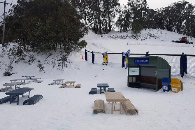 Mt Buller Day Trip from Melbourne - Who Will Get the Most From This Day