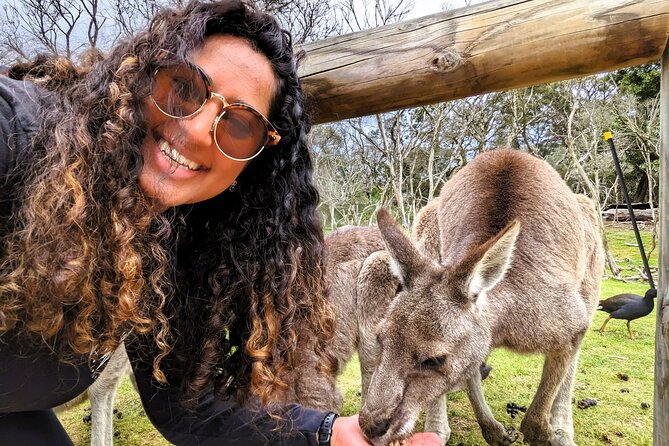 Penguin Parade, & Wildlife Encounters Eco Tour from Melbourne - Cape Woolamai and Cowes depend on the season