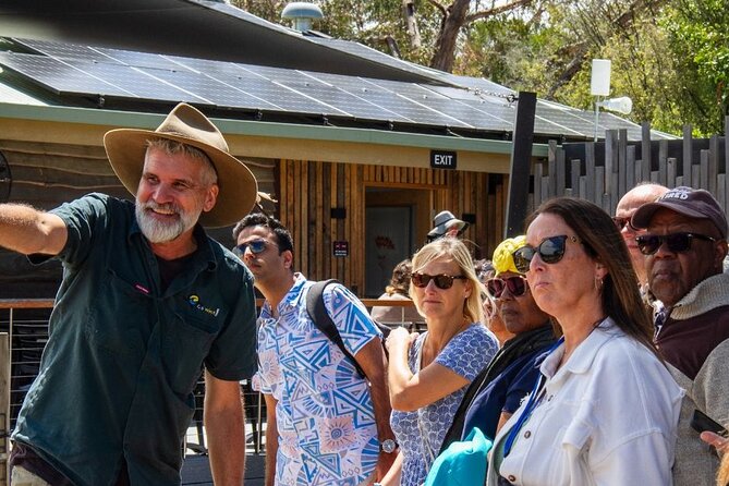 Penguin Parade, & Wildlife Encounters Eco Tour from Melbourne - The Nobbies adds cliffs, sea views, and seals