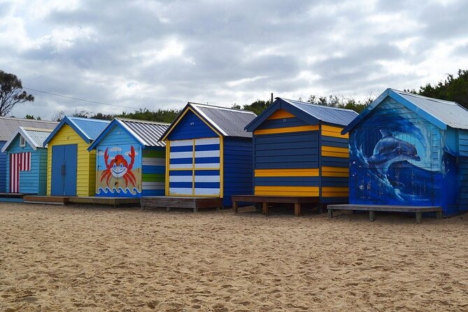 Peninsula Nature Tour - Thirty minutes at Dendy Street Beach