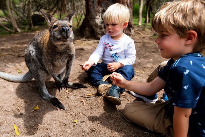 Peninsula Nature Tour - Picnic lunch and the walk to Chapmans Point