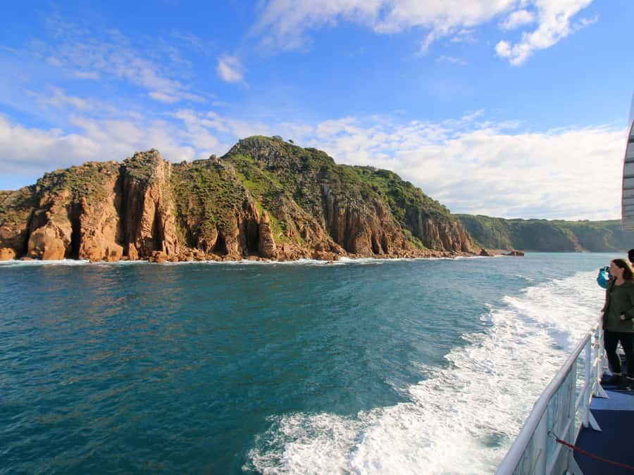 Philip Island: Dolphin and Whale Cruise - Is $95 a fair price?