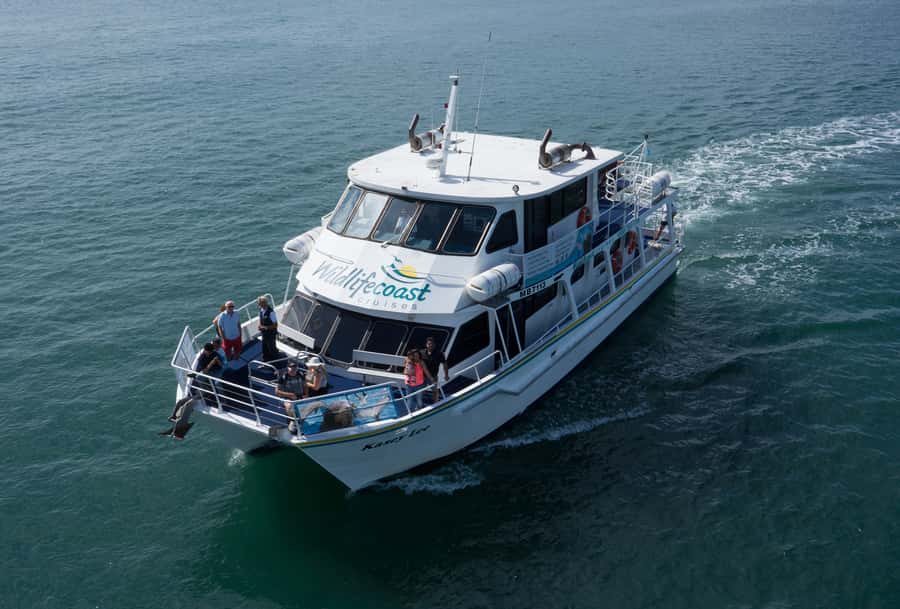 Philip Island: Dolphin and Whale Cruise - Cancellation and booking flexibility