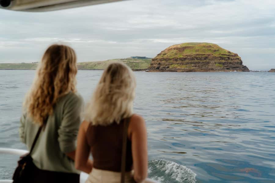 Philip Island: Seal Watching Cruise - From Cowes to Phillip Island’s seal colony