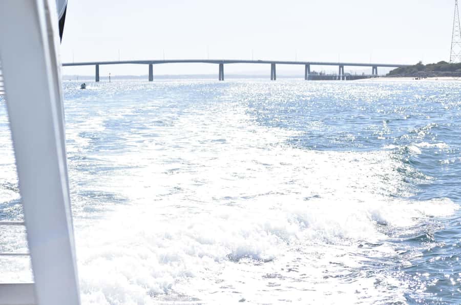 Phillip Island: 1-Hour Cape Woolamai Scenic Cruise - Commentary matters, but choose your seat carefully