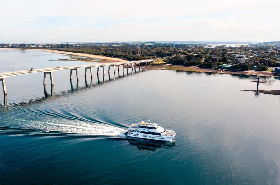 Phillip Island: 1-Hour Cape Woolamai Scenic Cruise - Who should choose this cruise