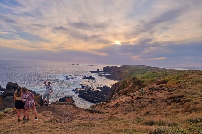 Phillip Island: Golden Hour Penguin Express Tour w/ Island Pickup - Should you book the Golden Hour Penguin Express?