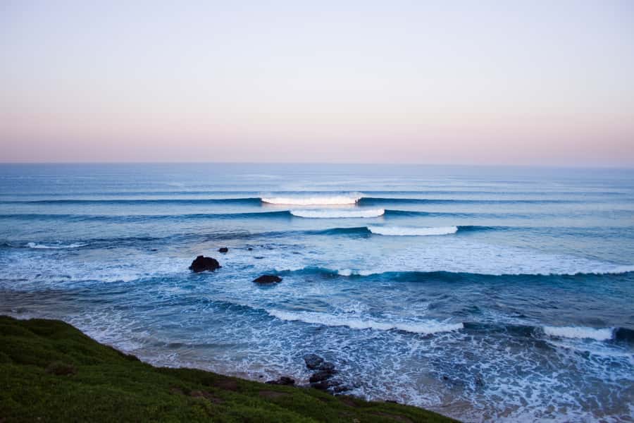 Phillip Island: Hike and Penguin Parade - 8 pax Small Tour - Key points at a glance