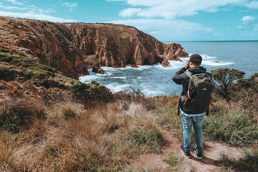 Phillip Island: Hike and Penguin Parade - 8 pax Small Tour - Who should book this tour?