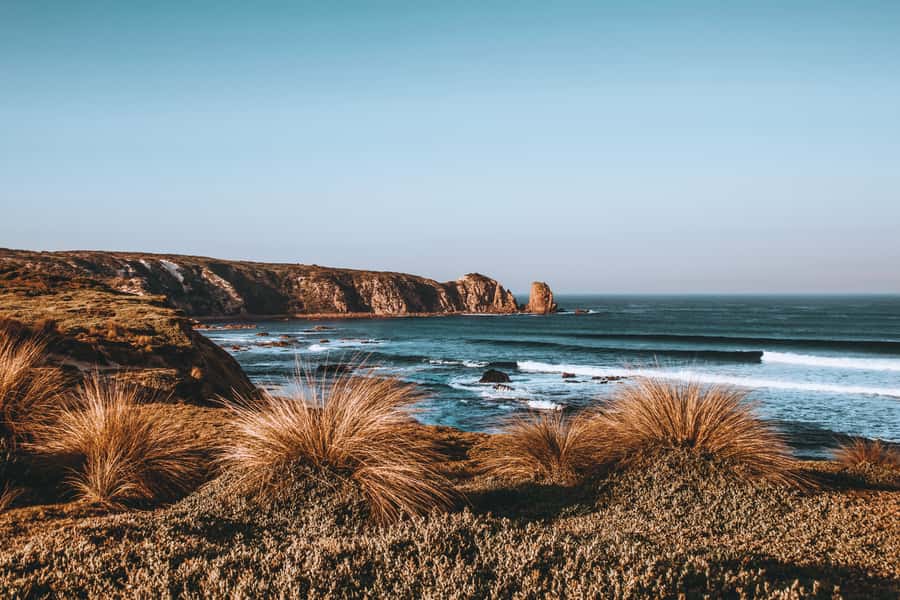 Phillip Island: Hike and Penguin Parade - 8 pax Small Tour - Why this Phillip Island day works