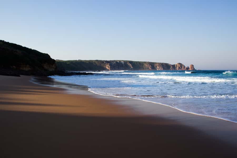 Phillip Island: Hike and Penguin Parade - 8 pax Small Tour - Cowes, lunch timing and the middle of the day