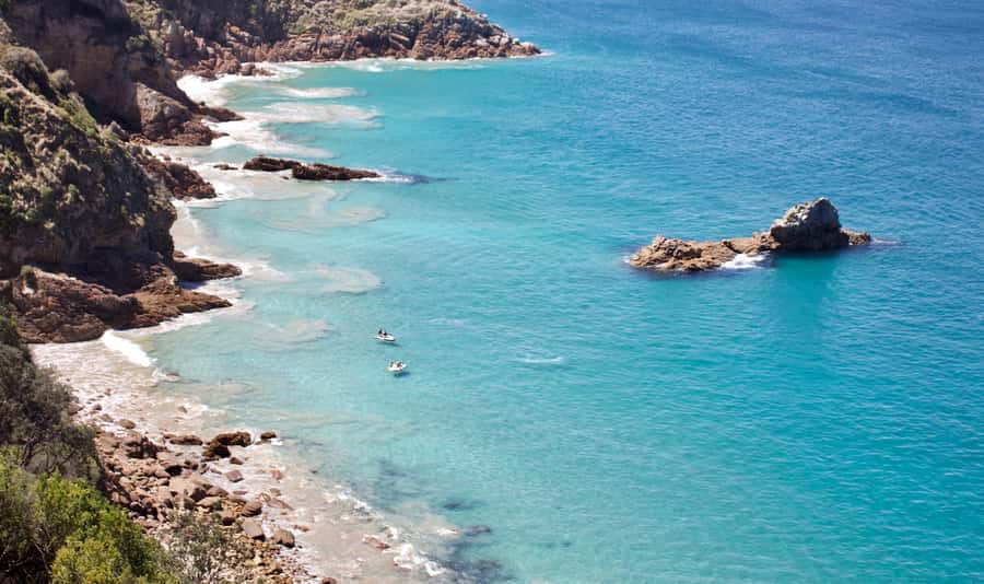 Phillip Island: Hike and Penguin Parade - 8 pax Small Tour - Koala Reserve: quiet viewing among eucalyptus trees