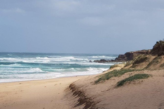Phillip Island Penguin and wildlife Tour - Phillip Island Wildlife Park: 90 minutes with Australian animals