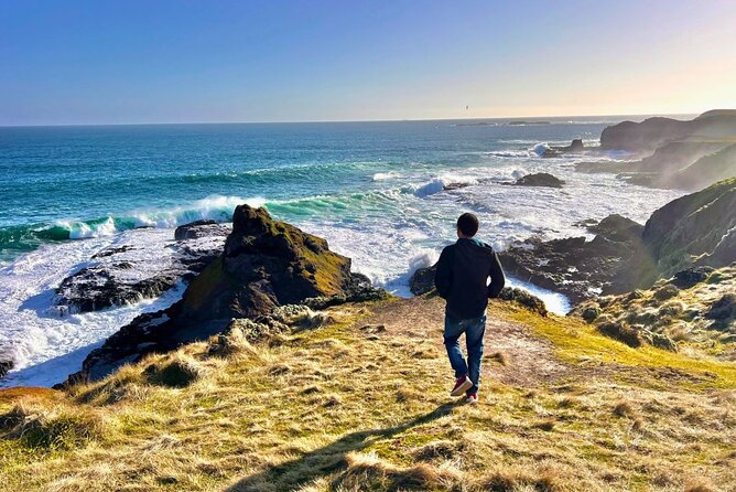 Phillip Island & Penguin Parade Afternoon Eco Tour from Melbourne - Why the Penguin Parade is worth the long afternoon