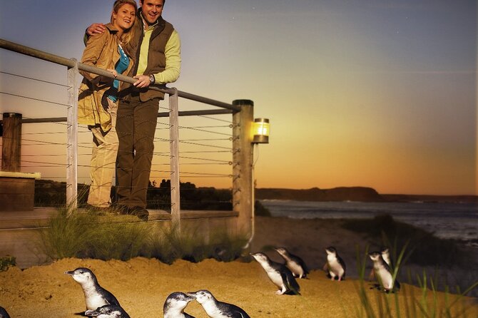 Phillip Island & Penguin Parade Afternoon Eco Tour from Melbourne - Cowes gives you an early dinner choice