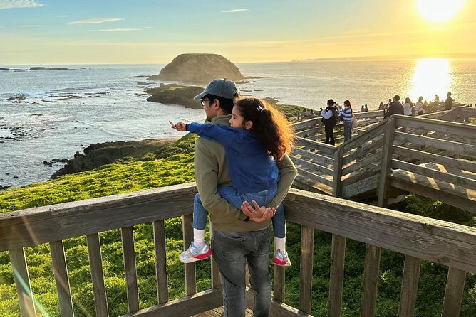 Phillip Island & Penguin Parade Afternoon Eco Tour from Melbourne - Cape Woolamai Beach, a summer-only coastal stop